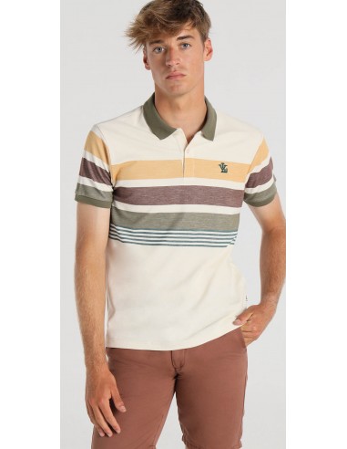 Polo V&L